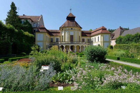 German Medical History Museum