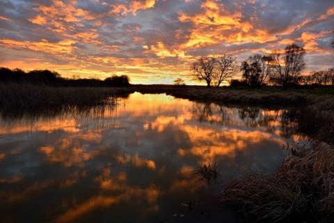 Sunrise over the Leiner See lake in the Middle Elbe Biosphere Reserve