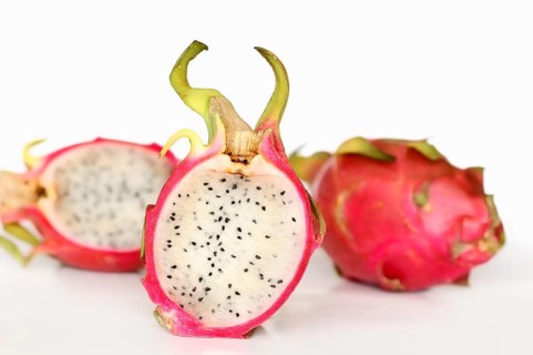 Pitahaya or Dragonfruit (Hylocereus undatus)