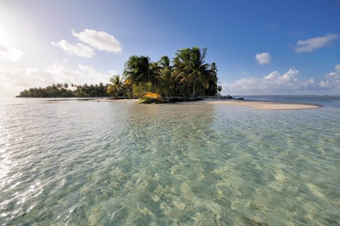 Tropical island with palm trees