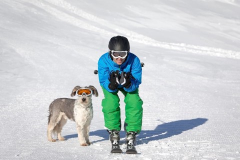 A skier and his dog with snow goggles on a ski slope