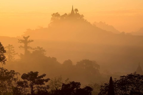 Pagoda surrounded by trees