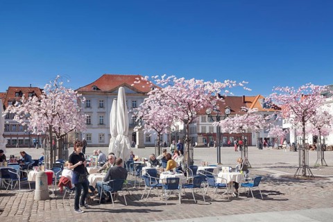 Marktplatz square and Town Hall