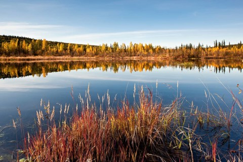 Small lake in autumn