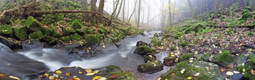 Stream with moss-covered basalt stones and fallen tree trunks