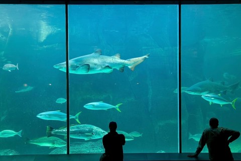 Two Oceans Aquarium