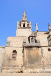 Eglise collegiale Ste Marthe