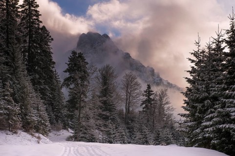 Peak of Mt Aggenstein engulfed in clouds with a winter forest