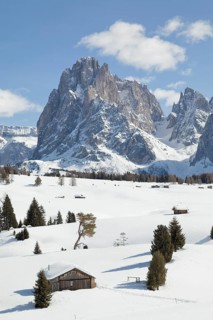 Winter landscape