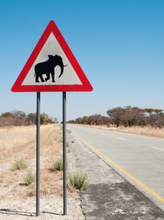 Traffic sign warning of crossing elephants at the B8 at its section through the Bwabwata National Park in the Caprivi strip