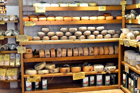Pecorino cheese on sale in a specialty shop