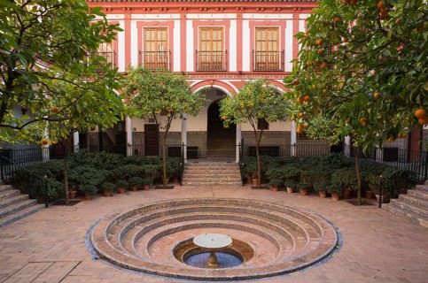 Bitter or Seville Orange trees (Citrus x aurantium) in the courtyard of the Hospital de los Venerables Sacerdotes