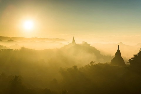 Pagodas surrounded by trees