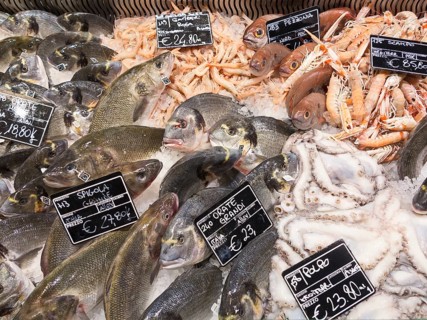 Mediterranean fresh fish on display at Eataly food store