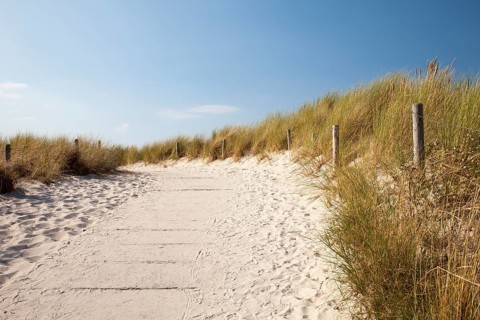 Path through the dunes leading to the beach