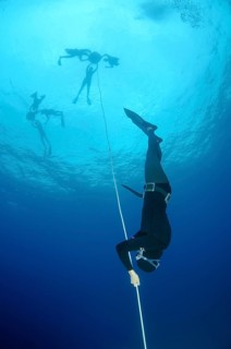 Freedivers