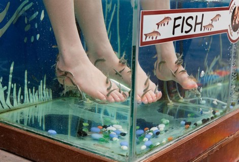 Garra Rufa fish therapy