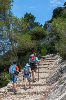 Ascent to Castell d'Alaro