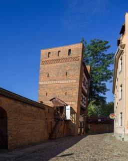 City walls and Leaning Tower