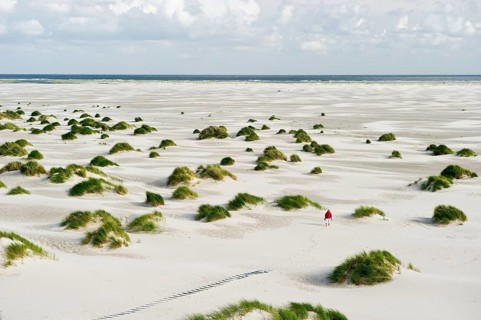 Dunes and beach
