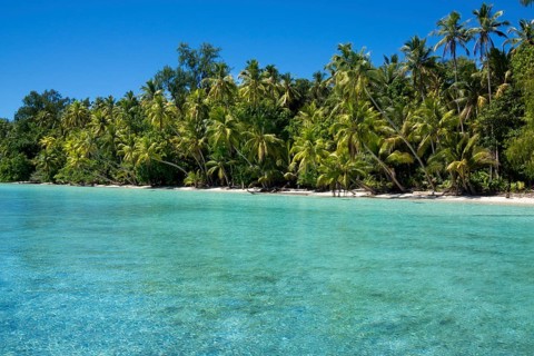Lagoon with a sandy beach and palm trees