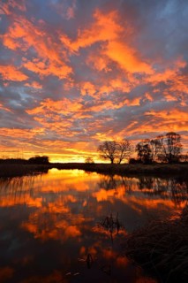 Sunrise over the Leiner See lake in the Middle Elbe Biosphere Reserve