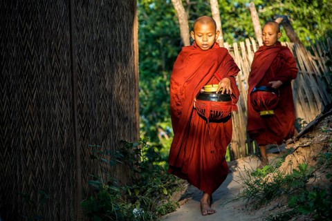 Buddhist novices with begging bowls at their morning begging tour