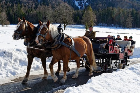 Sleigh ride from Rottach to the Weissachalm in Weissachtal Valley