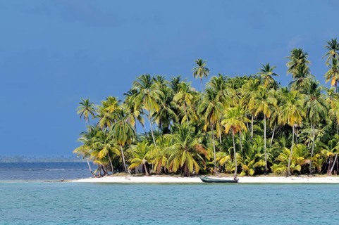 Tropical island with palm trees