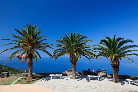 Palms with lookout point in Canari