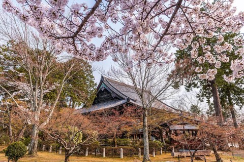 Shinsho Gokurakuji or Shinnyo-do Temple