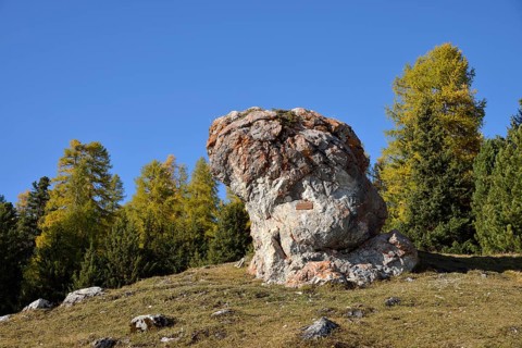 Menhir of S-chanf