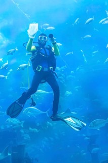 Diver cleans the glass surface in the aquarium