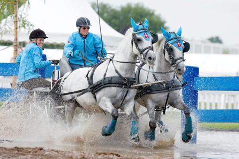 Horse-drawn carriage passing through a water ditch