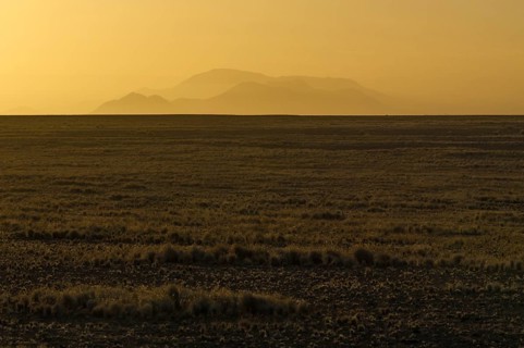 Landscape of the Namib Desert at sunrise
