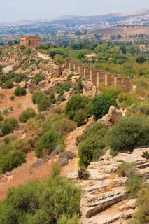 Fabrizio Plessi Monumenta' and The Temple of Concordia or Harmonia