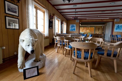 Stuffed Polar Bear inside the Var frelsers kirke pa Spitsbergen or Church of Our Savior on Svalbard