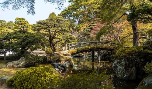 Garden Landscape