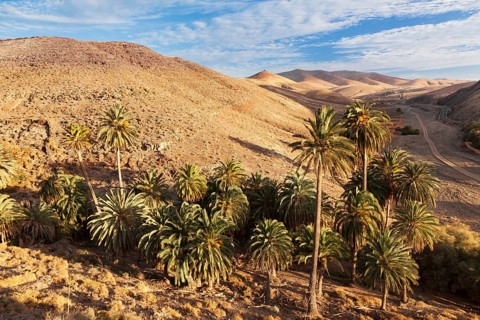 Landscape of Barranco de la Madre de Agua