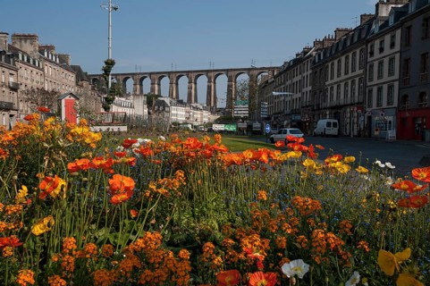 Flowers in front of the Viaduc de Morlaix