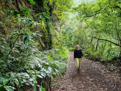 Tourist hiking in the forest of Los Tilos