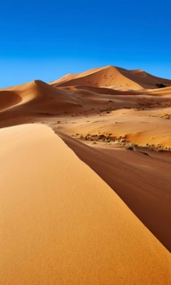Sand dunes