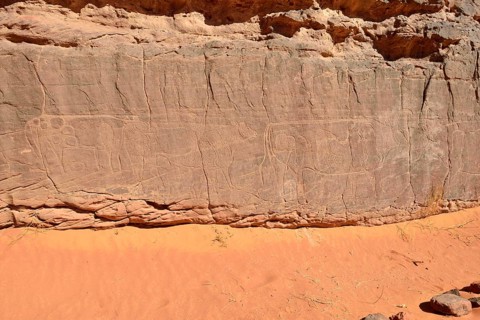 Rock engraving of cows