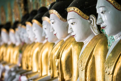Many seated Buddha sculptures