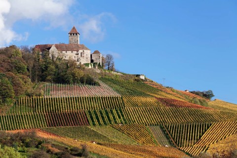 Lichtenberg Castle