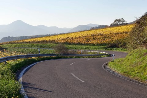 German Wine Route