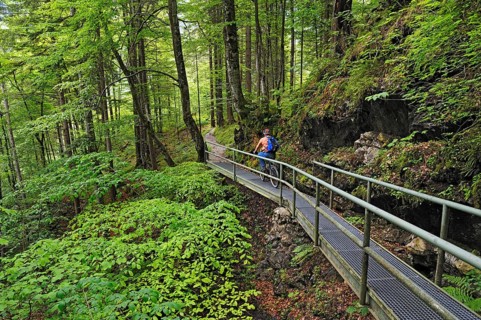 Mountain biker near Hinterstein