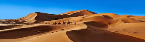 Camel ride on the Sahara sand dunes of erg Chebbi