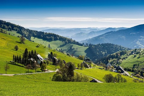 Hofsgrund at Mt Schauinsland