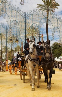 Decorated horses and dressed up coachmen at the Feria del Caballo Horse Fair
